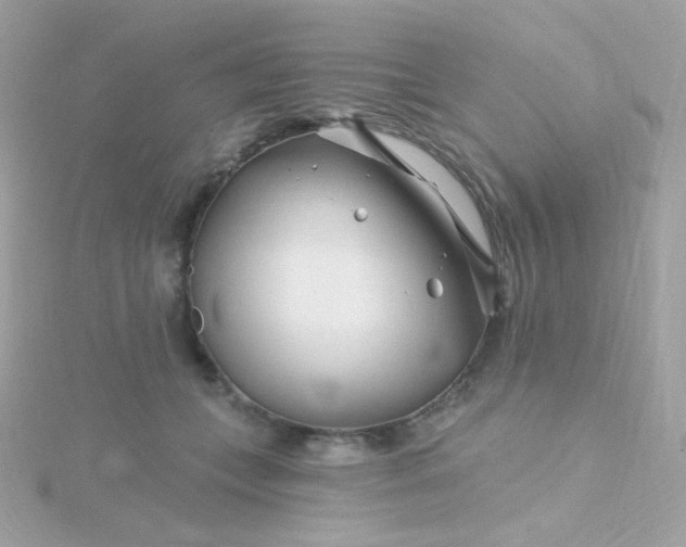 X0000115690559200911251815