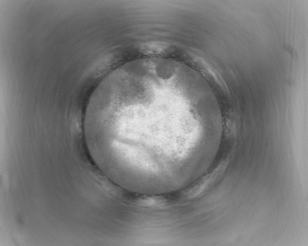 X0000115690561200911251815