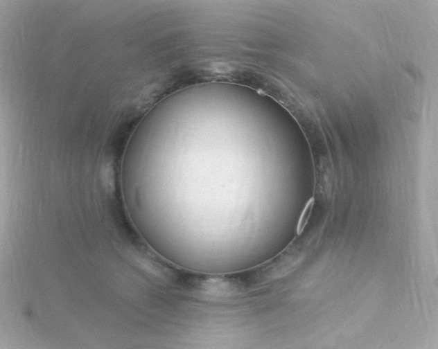 X0000115690562200911251815