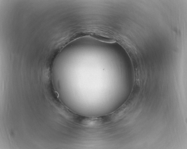 X0000115690563200911251815