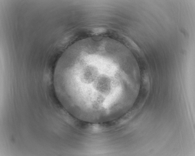 X0000115690565200911251815