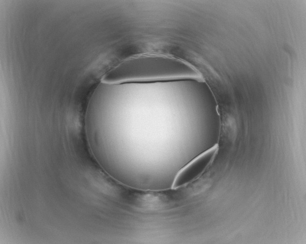 X0000115690566200911251815