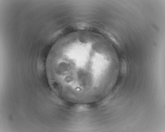 X0000115690569200911251815