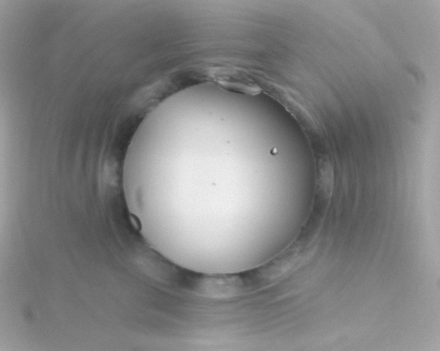 X0000115690571200911251815