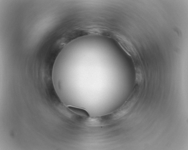 X0000115690573200911251815