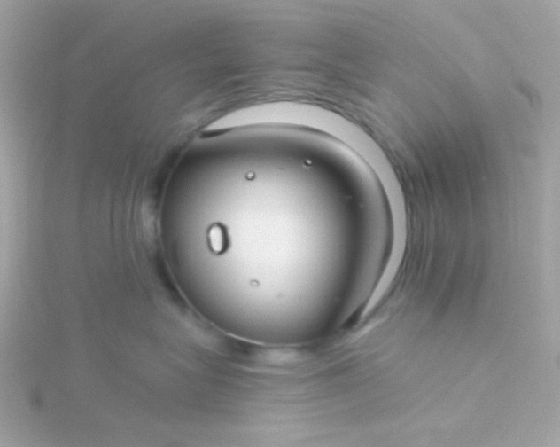 X0000115690575200911251815