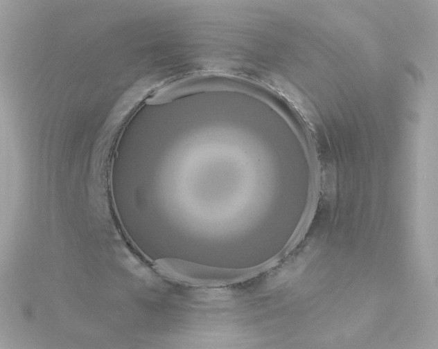 X0000115690577200911251815