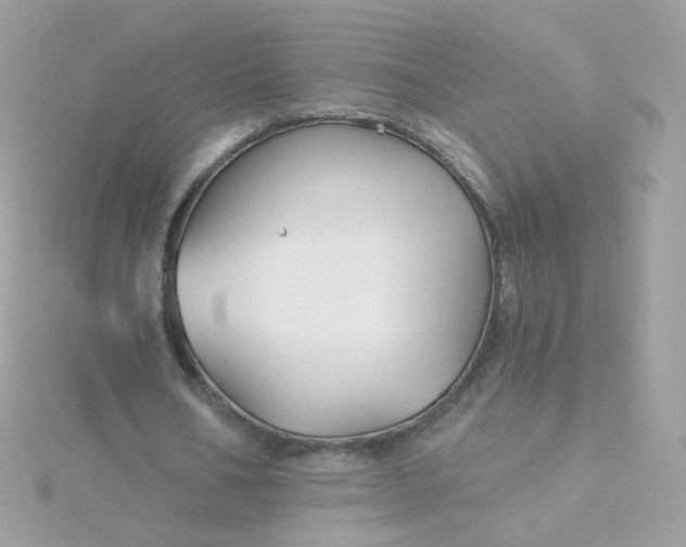 X0000115690578200911251815