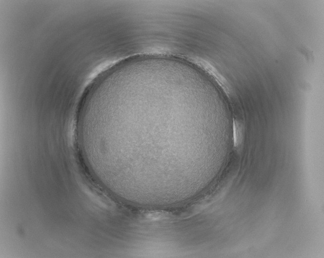 X0000115690579200911251815