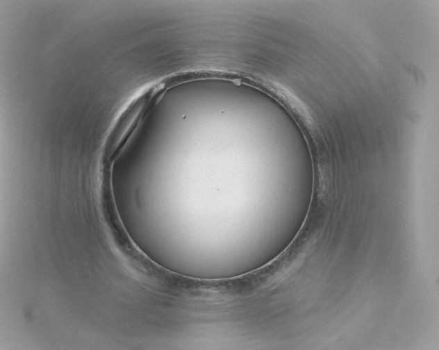 X0000115690580200911251815