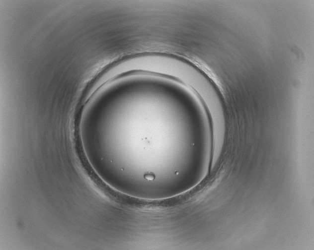 X0000115690581200911251815