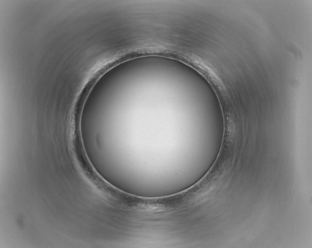 X0000115690582200911251815