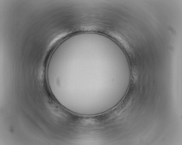 X0000115690583200911251815