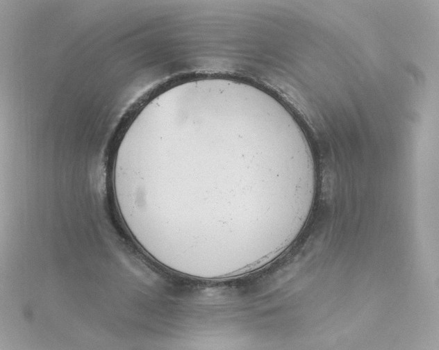 X0000115690584200911251815