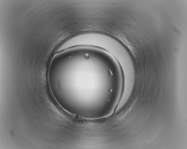 X0000115690585200911251815