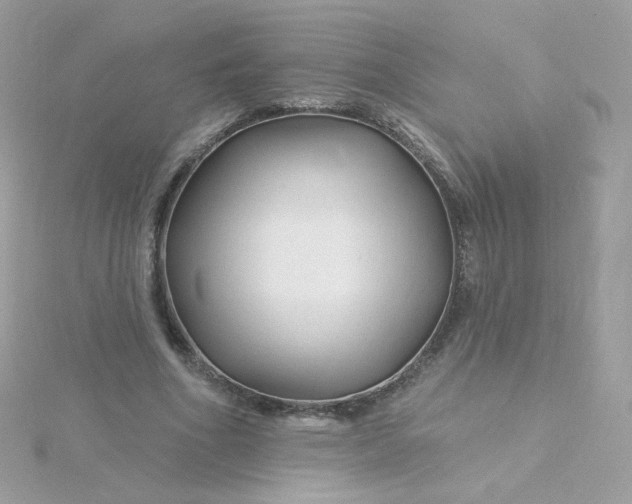 X0000115690586200911251815