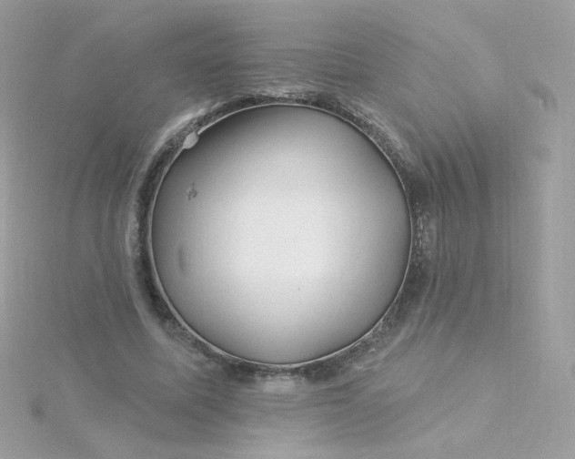 X0000115690587200911251815