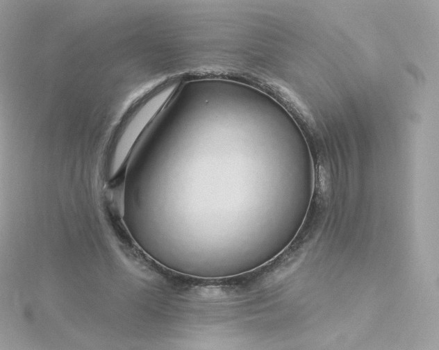 X0000115690588200911251815