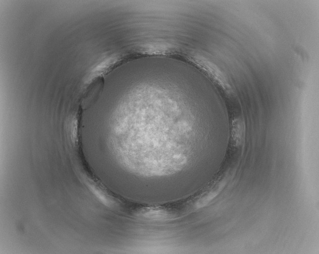 X0000115690589200911251815