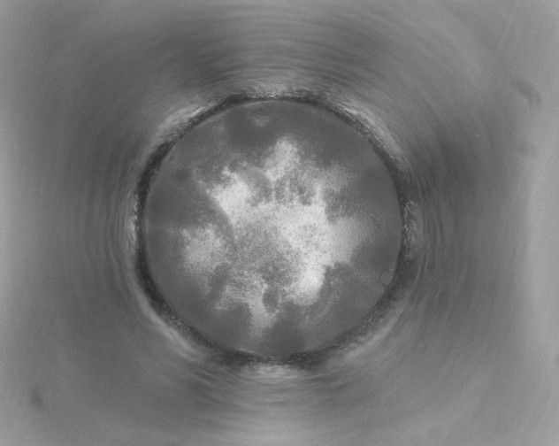 X0000115690590200911251815