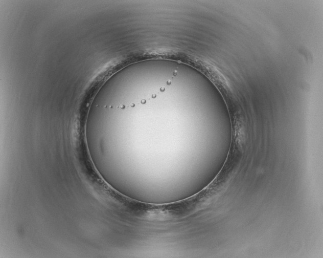 X0000115690591200911251815