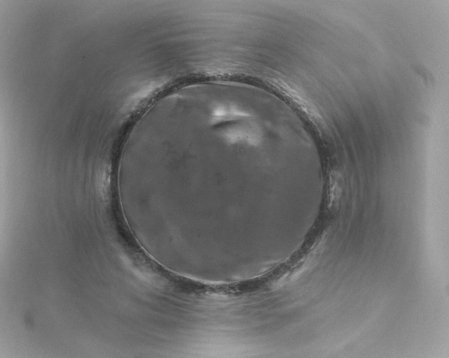 X0000115690592200911251815