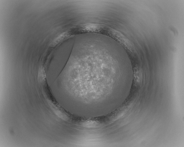 X0000115690593200911251815