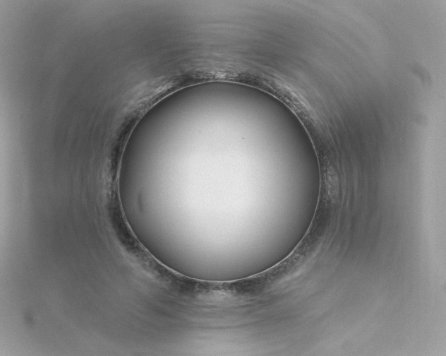 X0000115690594200911251815