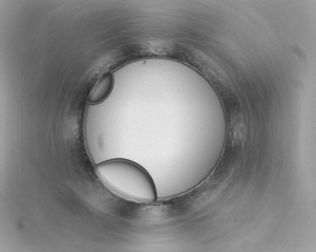 X0000115690595200911251815