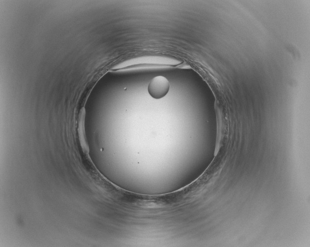 X0000115690597200911251815