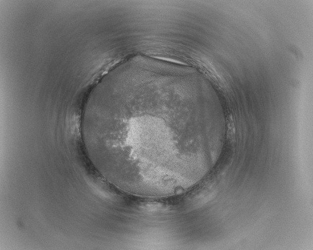 X0000115690598200911251815