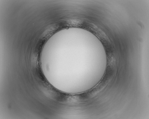 X0000115690599200911251815