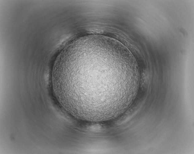 X0000115690600200911251814