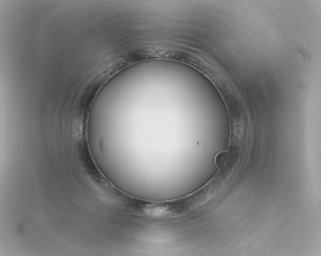 X0000115690602200911251814