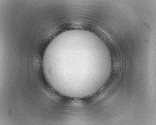 X0000115690603200911251814