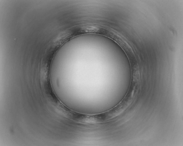 X0000115690604200911251814