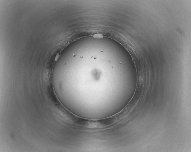 X0000115690605200911251814