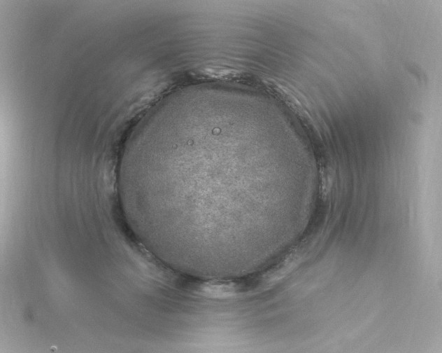 X0000115690606200911251814