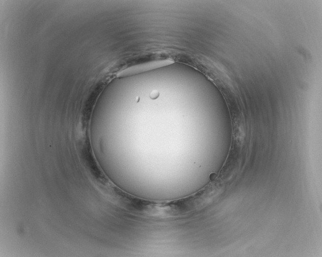 X0000115690607200911251814