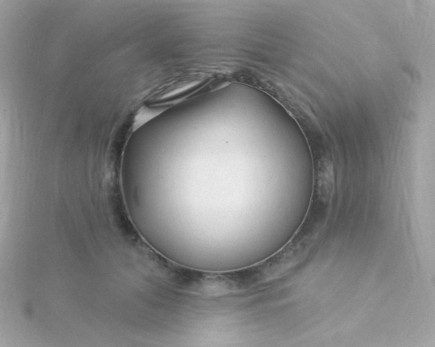 X0000115690608200911251814