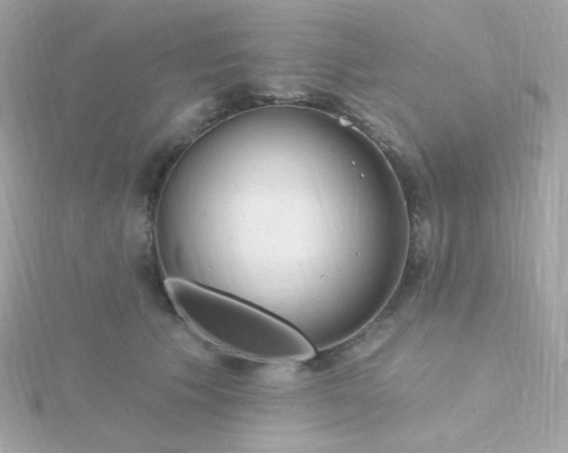 X0000115690609200911251814