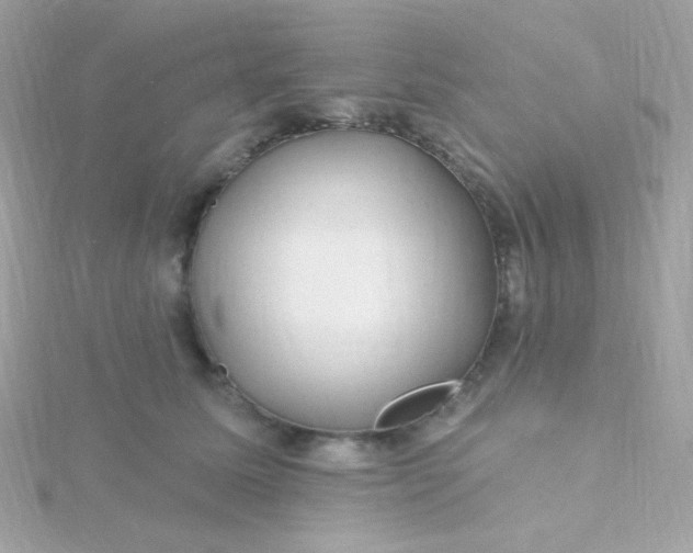 X0000115690611200911251814