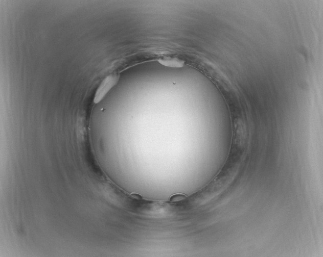 X0000115690612200911251814