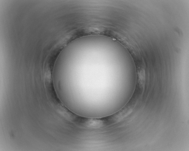 X0000115690617200911251814