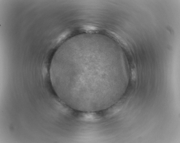 X0000115690618200911251814