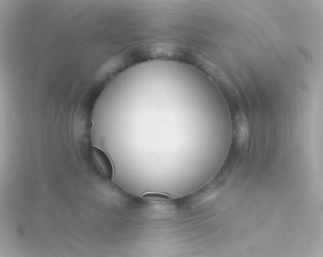 X0000115690619200911251814