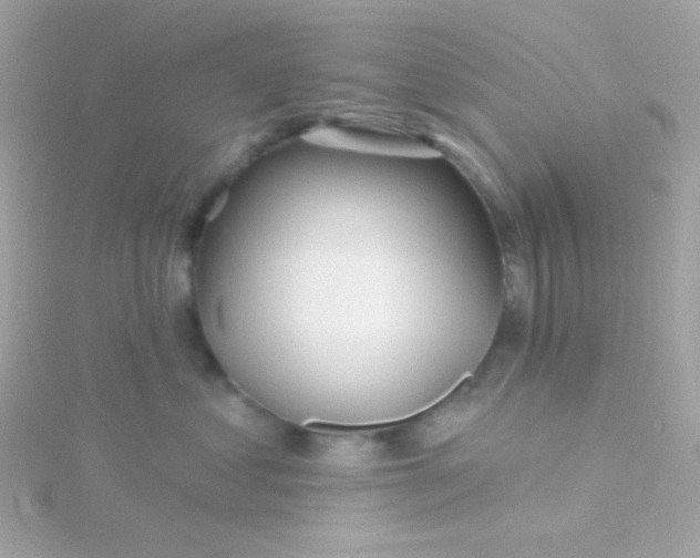 X0000115690621200911251814