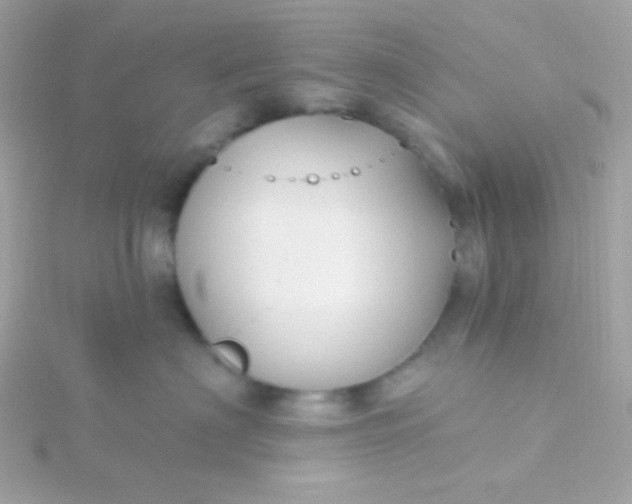 X0000115690622200911251814