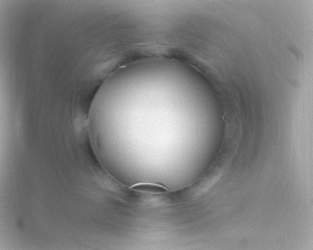 X0000115690624200911251814