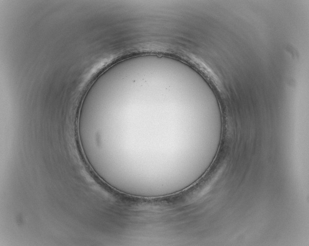 X0000115690625200911251813